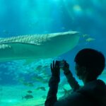 学院旅行１日目🐡🚢（サンタマリア号・海遊館編）