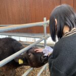牛舎🐄