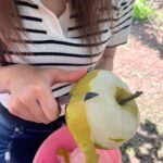 🍐『梨狩り』🌞