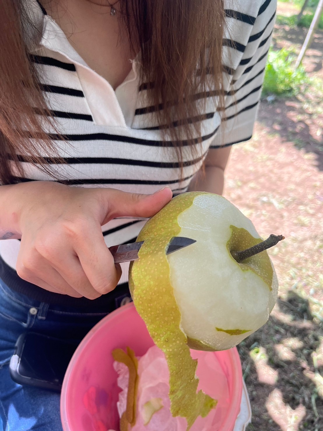 🍐『梨狩り』🌞